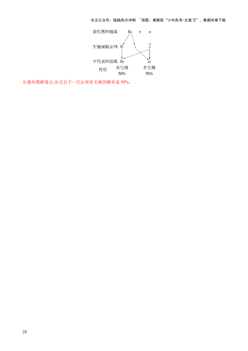 专题21生物的遗传和变异（练习）（解析版）_02中考总复习（2026版更新中）_08-生物-中考总复习_2024年中考复习资料_一轮复习_❤2024年中考生物一轮复习讲练测（全国通用）_练习