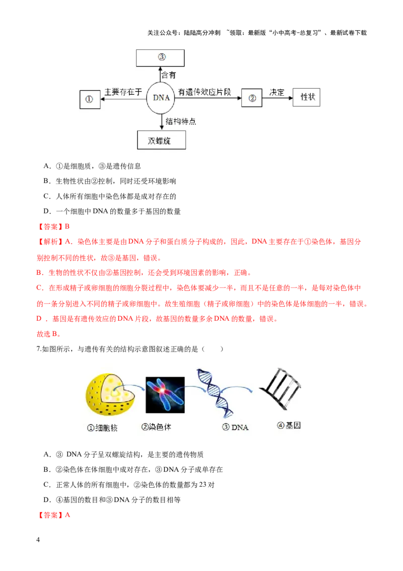 专题21生物的遗传和变异（练习）（解析版）_02中考总复习（2026版更新中）_08-生物-中考总复习_2024年中考复习资料_一轮复习_❤2024年中考生物一轮复习讲练测（全国通用）_练习