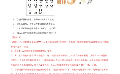 专题21生物的遗传和变异（练习）（解析版）_02中考总复习（2026版更新中）_08-生物-中考总复习_2024年中考复习资料_一轮复习_❤2024年中考生物一轮复习讲练测（全国通用）_练习