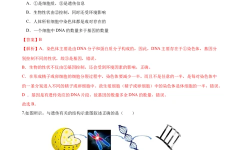 专题21生物的遗传和变异（练习）（解析版）_02中考总复习（2026版更新中）_08-生物-中考总复习_2024年中考复习资料_一轮复习_❤2024年中考生物一轮复习讲练测（全国通用）_练习