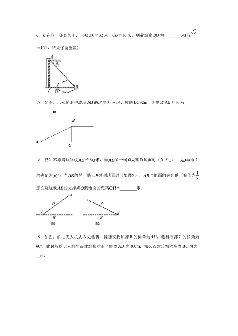 专题1.11利用三角函数测高（专项练习）-九年级数学_北师大初中数学_9下-北师大版初中数学_05习题试卷_1课时练习_同步练习（第2套）