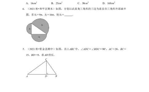 专题1.1探索勾股定理（专项训练）-2022-2023学年八年级数学上册《同步考点解读&bull;专题训练》（北师大版）_北师大初中数学_8上-北师大版初中数学_旧版_06专项讲练