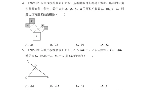 专题03勾股定理的基本应用（十大类型）（原卷版）-2022-2023学年八年级数学下册《高分突破&bull;培优新方法》（北师大版）_北师大初中数学_8下-北师大版初中数学_旧版-可参考_06专项讲练