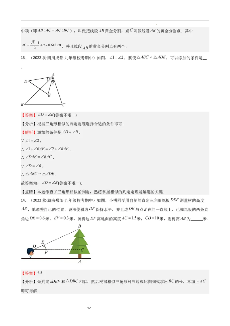 专题06图形的相似（重点，期中测试精选）（解析版）_北师大初中数学_9上-北师大版初中数学_05习题试卷_5专项练习