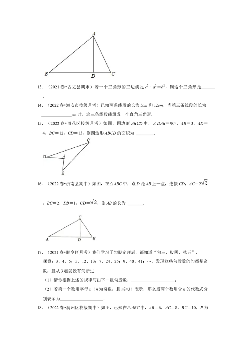 专题1.2一定是直角三角形吗（能力提升）-2022-2023学年八年级数学上册《同步考点解读&bull;专题训练》（北师大版）_北师大初中数学_8上-北师大版初中数学_旧版_06专项讲练