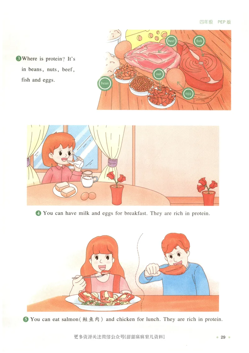 四年级英语人教PEP25版《一本寒假衔接》_26春四年级上下册人教版_四上英语合集人教版PEP英语四年级上册新教材（教学视频+课件+动画+音频+练习+教案）_17练习资料