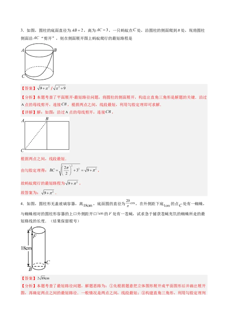 专题01利用勾股定理求最短路径问题的四种模型（高效培优专项训练）（教师版）_北师大初中数学_8上-北师大版初中数学_初中数学北师大8上-2025秋季新版_第二套推荐25_08专项讲练