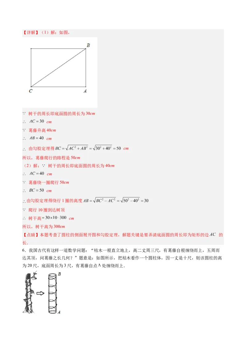 专题01利用勾股定理求最短路径问题的四种模型（高效培优专项训练）（教师版）_北师大初中数学_8上-北师大版初中数学_初中数学北师大8上-2025秋季新版_第二套推荐25_08专项讲练
