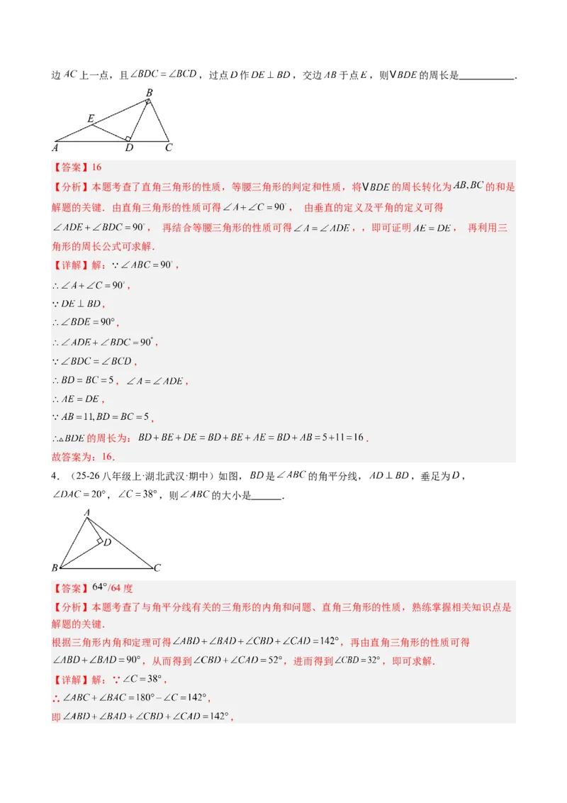 专题04直角三角形的性质与判定（8大题型）（专项训练）（解析版）_北师大初中数学_8下-北师大版初中数学_2026春新版_第二套-东方_02.北师大数学8下试题+复习26春_专项训练