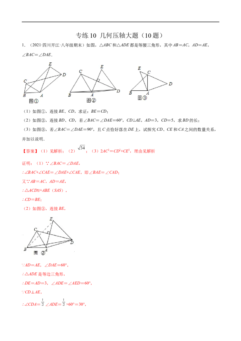 专练10几何压轴大题（10题）-八年级数学上学期期末考点必杀200题（北师大版）（解析版）_北师大初中数学_8上-北师大版初中数学_旧版_05习题试卷_5专项练习