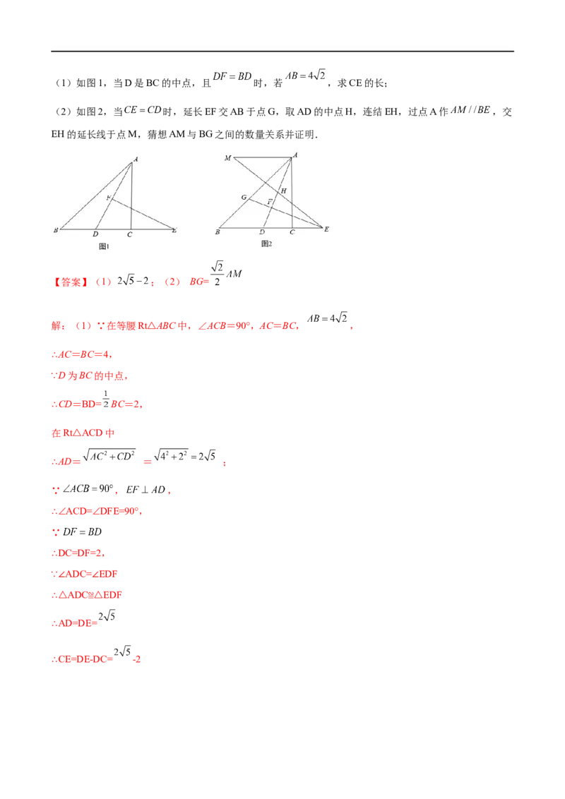 专练10几何压轴大题（10题）-八年级数学上学期期末考点必杀200题（北师大版）（解析版）_北师大初中数学_8上-北师大版初中数学_旧版_05习题试卷_5专项练习