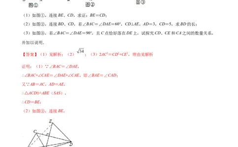 专练10几何压轴大题（10题）-八年级数学上学期期末考点必杀200题（北师大版）（解析版）_北师大初中数学_8上-北师大版初中数学_旧版_05习题试卷_5专项练习