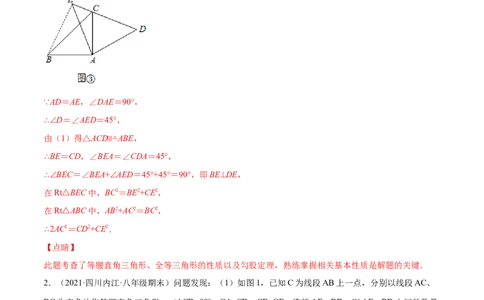 专练10几何压轴大题（10题）-八年级数学上学期期末考点必杀200题（北师大版）（解析版）_北师大初中数学_8上-北师大版初中数学_旧版_05习题试卷_5专项练习