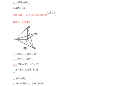 专练10几何压轴大题（10题）-八年级数学上学期期末考点必杀200题（北师大版）（解析版）_北师大初中数学_8上-北师大版初中数学_旧版_05习题试卷_5专项练习