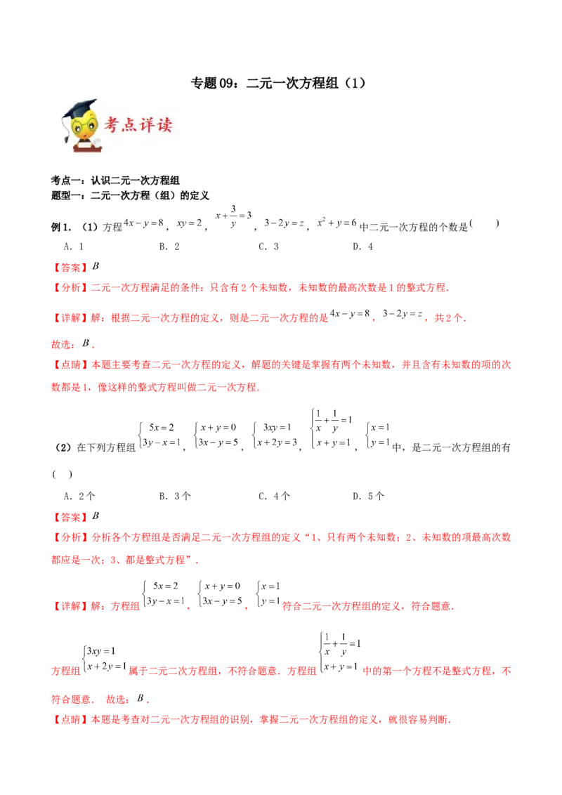 专题09：二元一次方程组（1）（解析版）-2020-2021学年八年级数学上册基础考点专题培优训练+重要题型小专题（北师大版）_北师大初中数学_8上-北师大版初中数学_旧版_06专项讲练