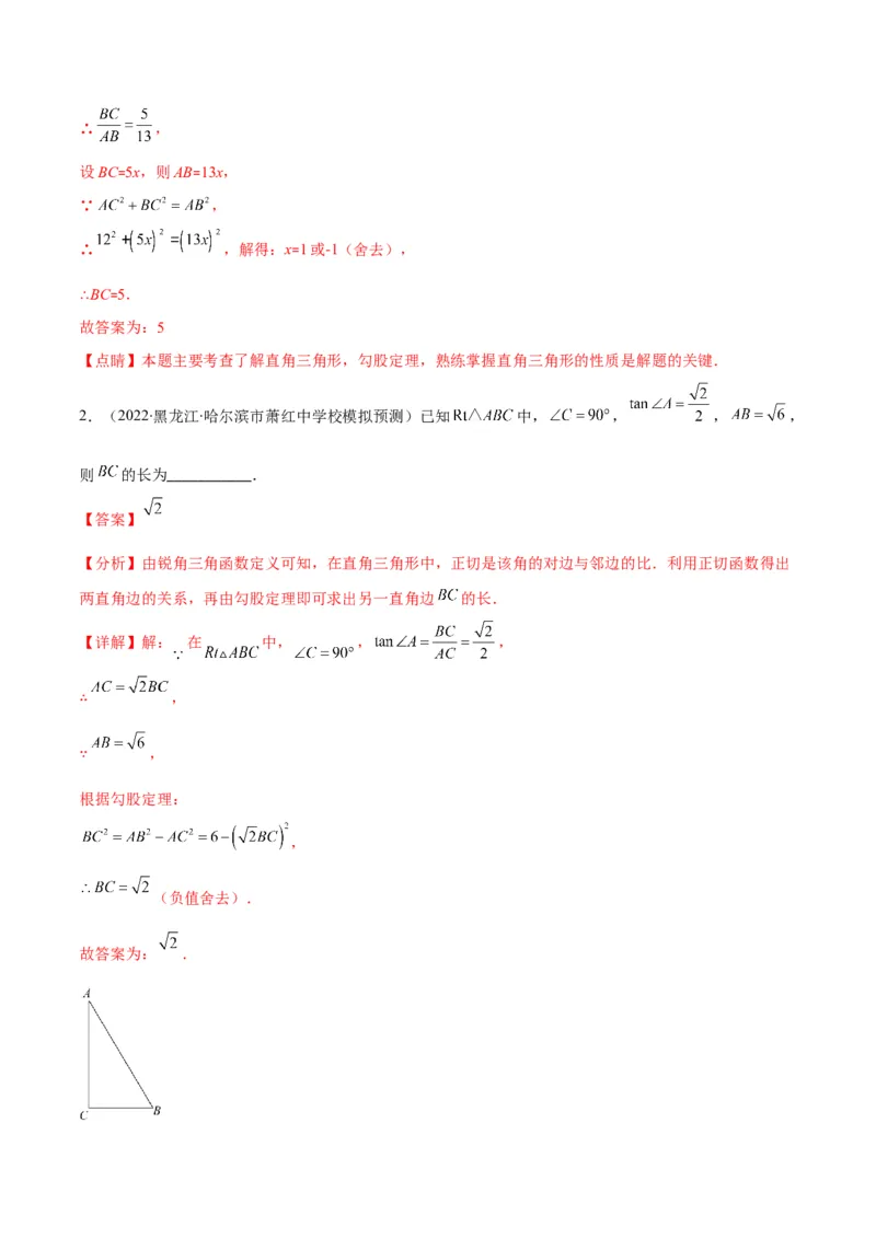 专题01锐角三角形函数和特殊角的三角函数值(解析版)（重点突围）_北师大初中数学_9上-北师大版初中数学_06专项讲练