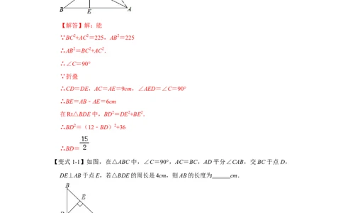 专项03直角三角形中锐角平分线模型综合应用（解析版）_北师大初中数学_8上-北师大版初中数学_旧版_06专项讲练_2022-2023学年八年级数学上册高分突破必练专题（北师大版）