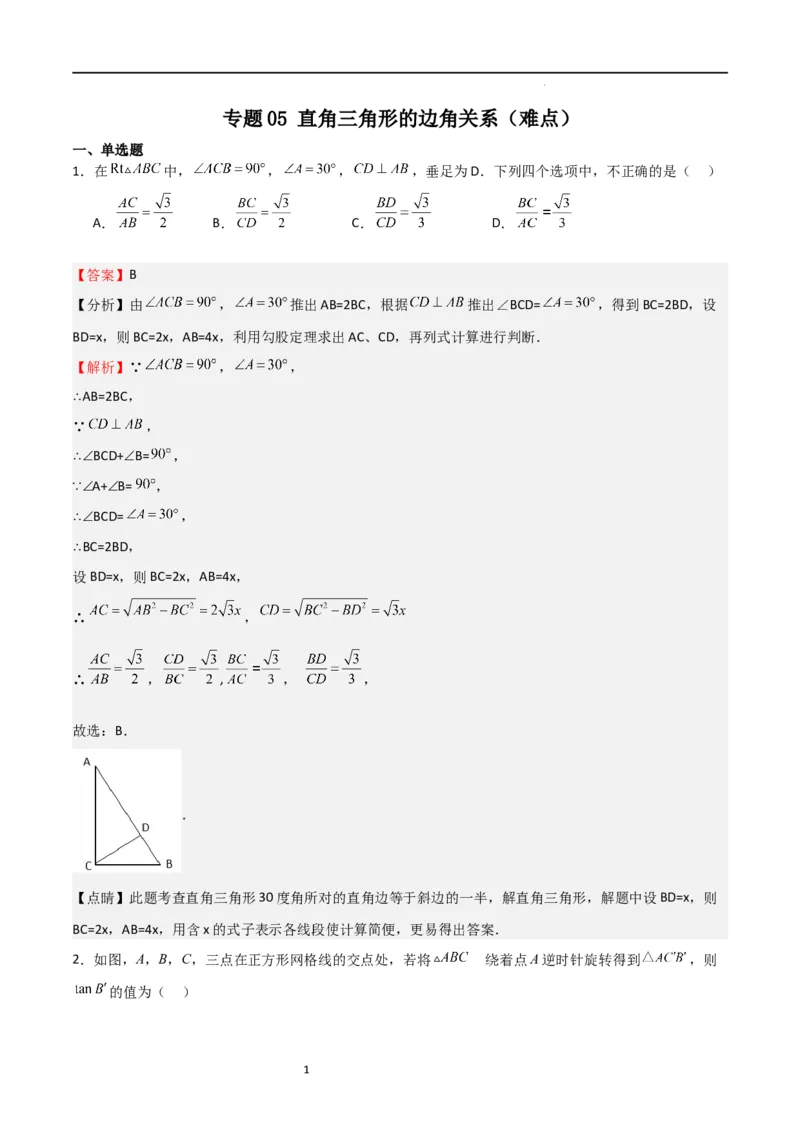 专题05直角三角形的边角关系（难点）（解析版）_北师大初中数学_9下-北师大版初中数学_05习题试卷_4专题练习_第2套