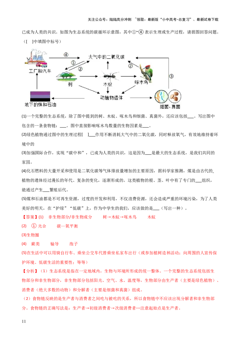 题型06热点情景题解题技巧（解析版）_02中考总复习（2026版更新中）_08-生物-中考总复习_2025中考复习资料_2025年中考生物答题方法模板
