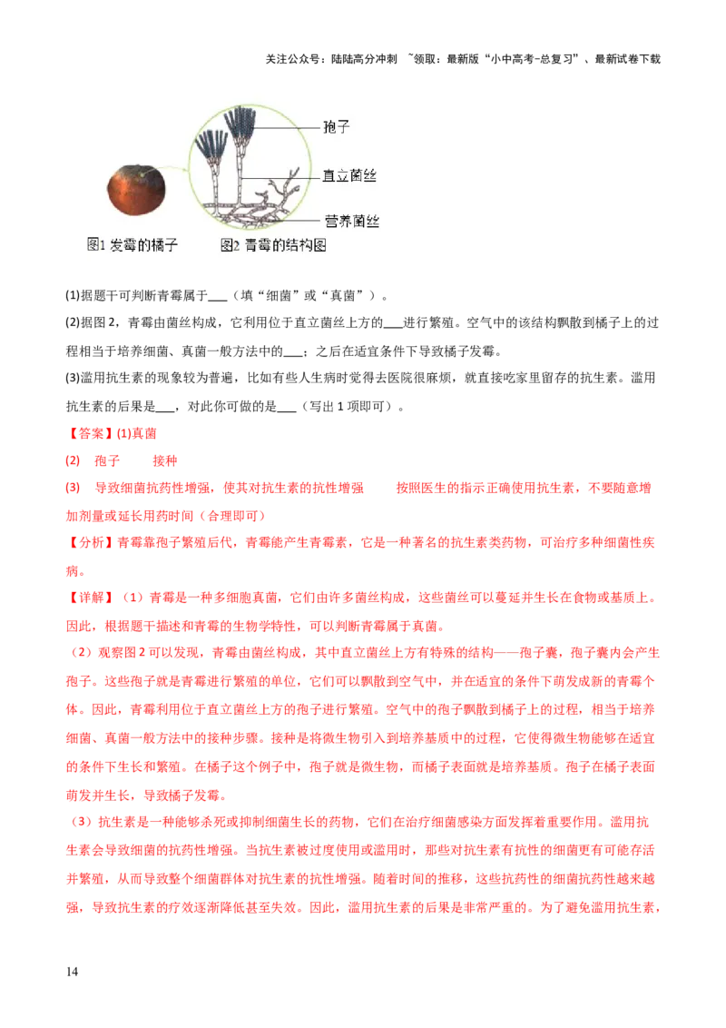 题型06热点情景题解题技巧（解析版）_02中考总复习（2026版更新中）_08-生物-中考总复习_2025中考复习资料_2025年中考生物答题方法模板