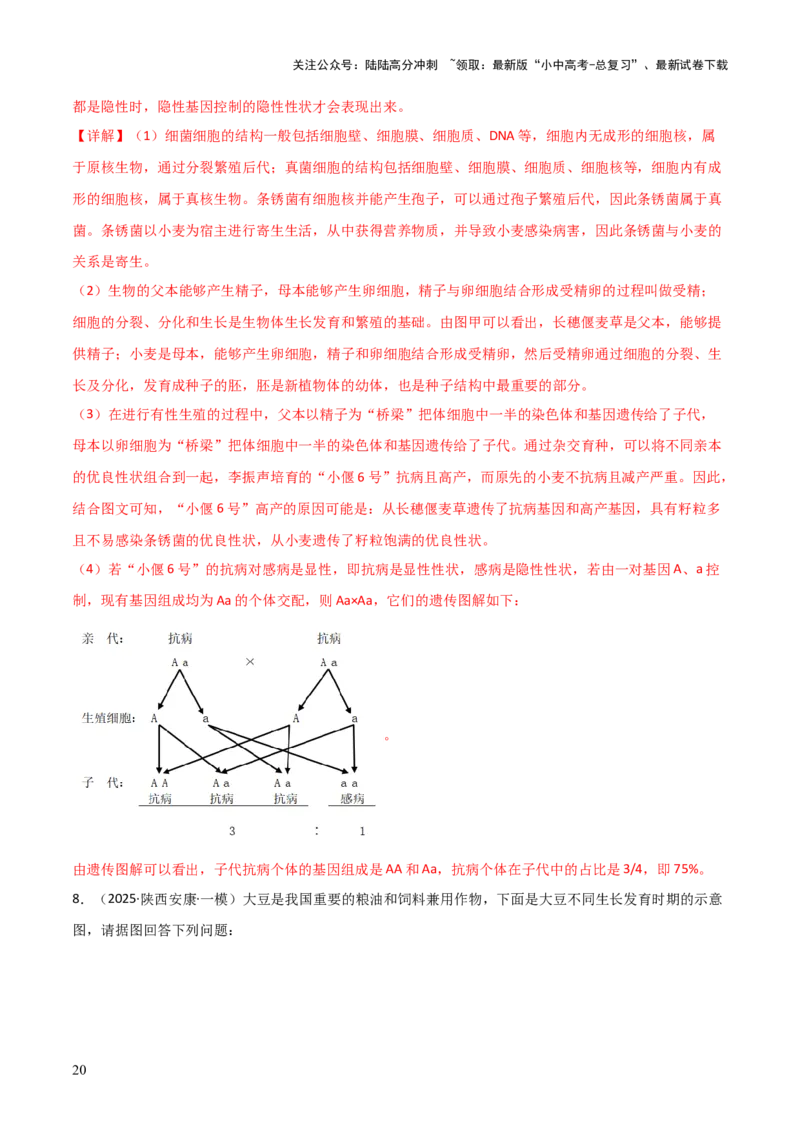 题型06热点情景题解题技巧（解析版）_02中考总复习（2026版更新中）_08-生物-中考总复习_2025中考复习资料_2025年中考生物答题方法模板