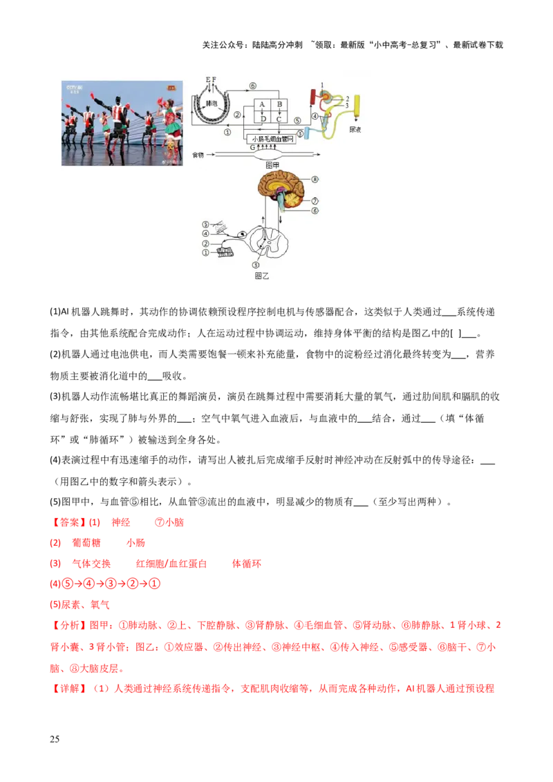 题型06热点情景题解题技巧（解析版）_02中考总复习（2026版更新中）_08-生物-中考总复习_2025中考复习资料_2025年中考生物答题方法模板