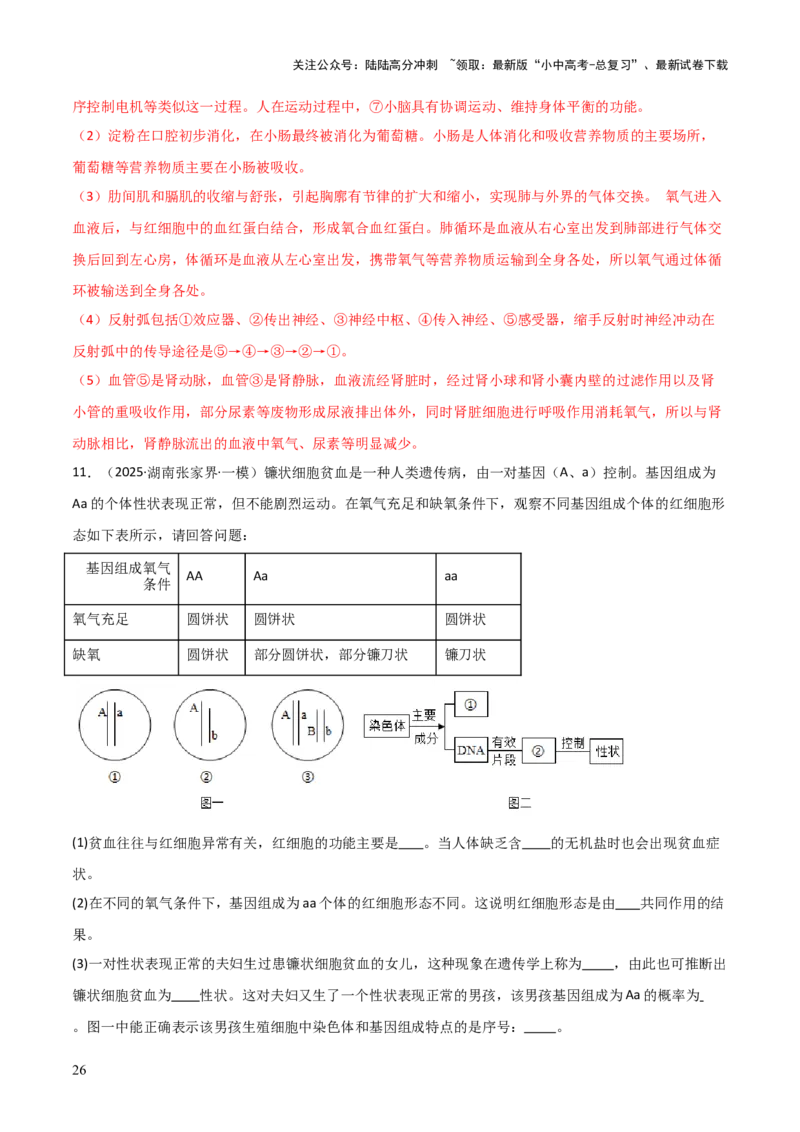 题型06热点情景题解题技巧（解析版）_02中考总复习（2026版更新中）_08-生物-中考总复习_2025中考复习资料_2025年中考生物答题方法模板