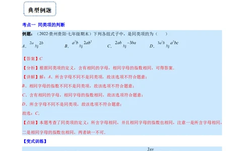 专题07整式的加减(解析版)_北师大初中数学_7上-北师大版初中数学_7上-初中数学北师大（旧版）赠送_06专项讲练_学霸满分2022-2023学年七年级数学上册重难点专题提优训练（北师大版）