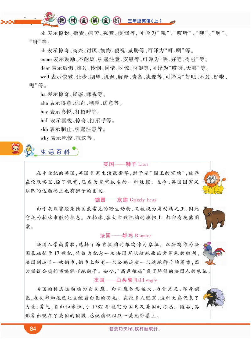 人教版英语三年级上册教材全解全析_26春四年级上下册人教版_四上英语合集人教版PEP英语四年级上册新教材（教学视频+课件+动画+音频+练习+教案）_17练习资料_《教材全解》