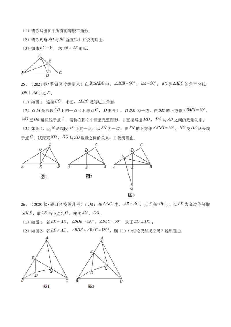 专题1.10第1章三角形的证明单元测试（培优提升卷）-八年级数学下册尖子生同步培优题典（原卷版）北师大版_北师大初中数学_8下-北师大版初中数学_旧版-可参考_05习题试卷