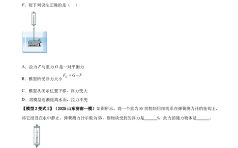 专题07浮力的四种计算方法（原卷版）_02中考总复习（2026版更新中）_04-物理-中考总复习_2025年中考复习资料_2025年中考物理答题方法模板