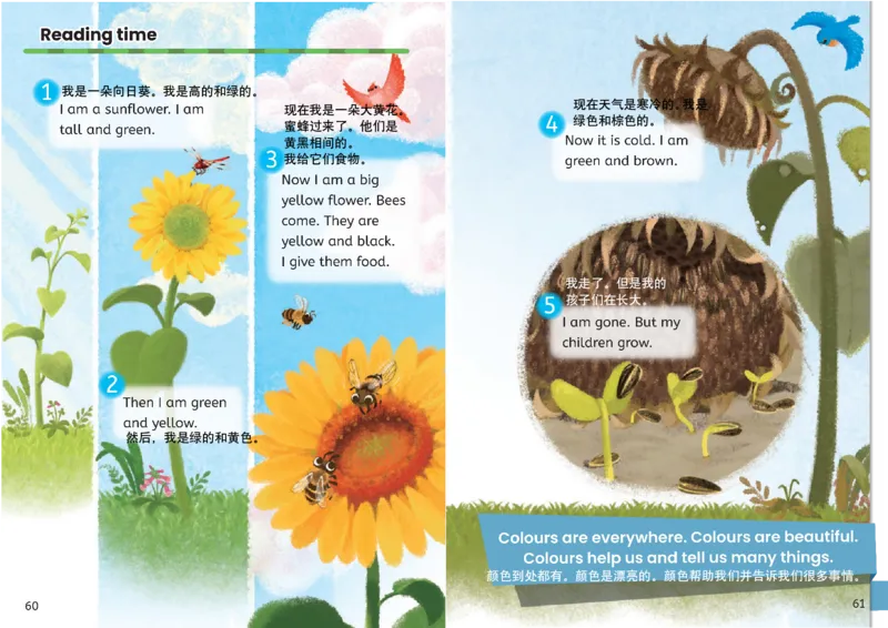 小学英语PEP3年级上册课堂笔记（24秋新教材）A3版_26春四年级上下册人教版_四上英语合集人教版PEP英语四年级上册新教材（教学视频+课件+动画+音频+练习+教案）_17练习资料