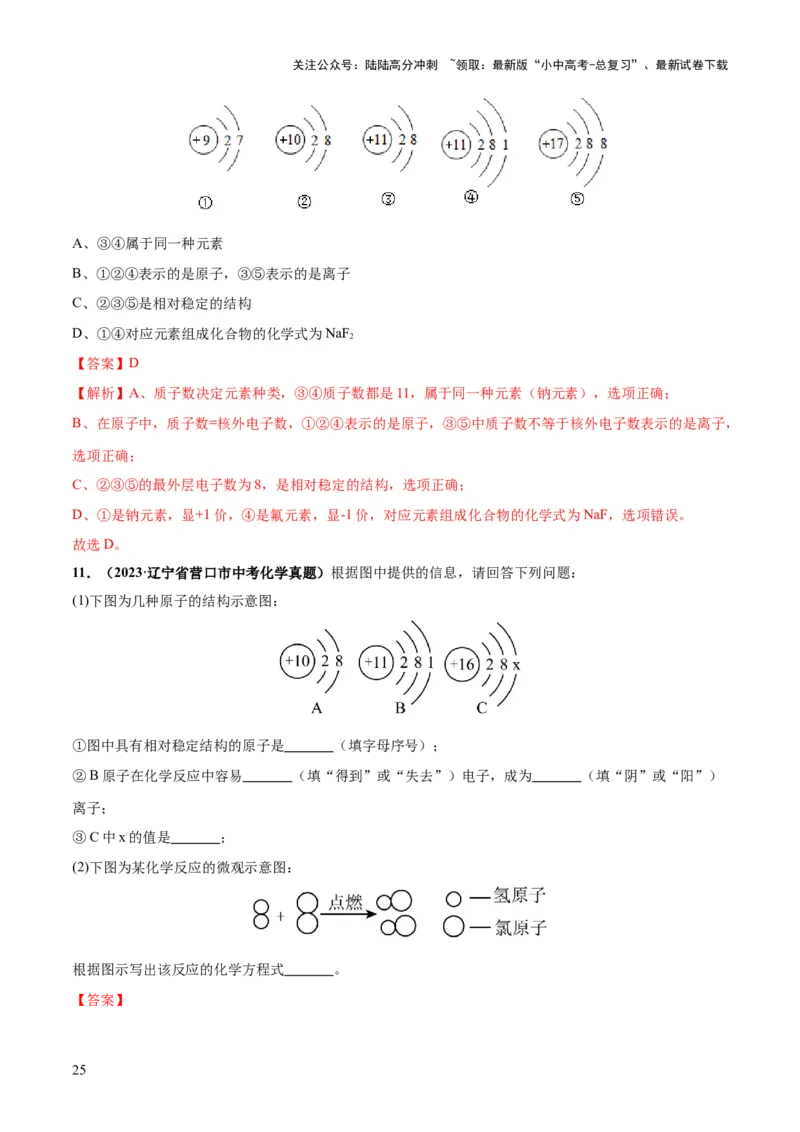 专题09构成物质的微粒元素（练习）-2024年中考化学一轮复习讲练测（全国通用）（解析版）_02中考总复习（2026版更新中）_05-化学-中考总复习_2024年中考复习资料_一轮复习资料