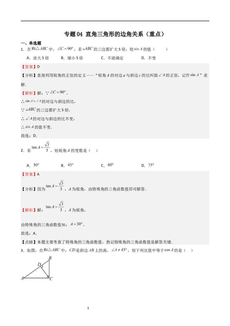 专题04直角三角形的边角关系（重点）（解析版）_北师大初中数学_9下-北师大版初中数学_05习题试卷_4专题练习_第2套
