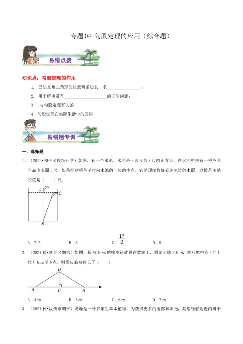 专题04勾股定理的应用综合题（原卷版）_北师大初中数学_8上-北师大版初中数学_旧版_06专项讲练_培优方案2022-2023学年八年级数学上册章节重点复习考点讲义（北师大版）