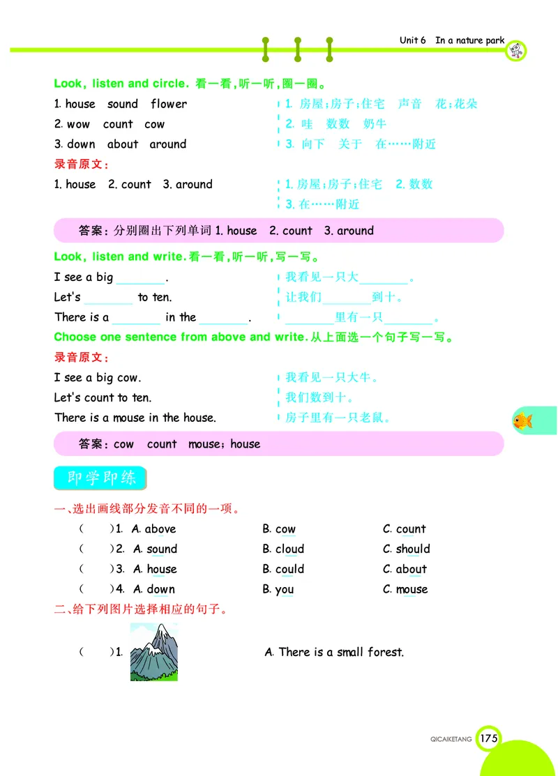 人教PEP版英语五年级上册教材全解_26春四年级上下册人教版_四上英语合集人教版PEP英语四年级上册新教材（教学视频+课件+动画+音频+练习+教案）_17练习资料_《教材全解》