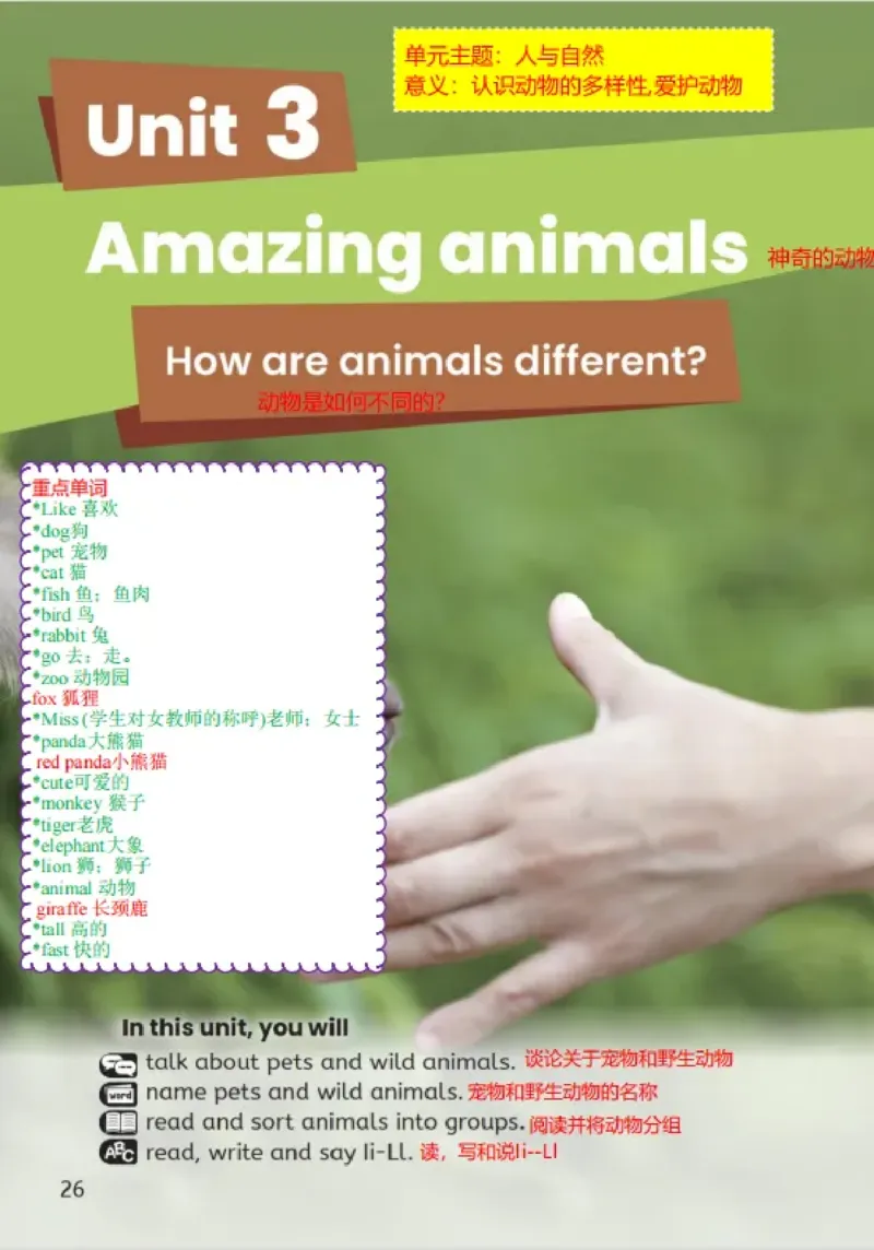 小学英语PEP3年级上册课堂笔记（24秋新教材）A4版_26春四年级上下册人教版_四上英语合集人教版PEP英语四年级上册新教材（教学视频+课件+动画+音频+练习+教案）_17练习资料