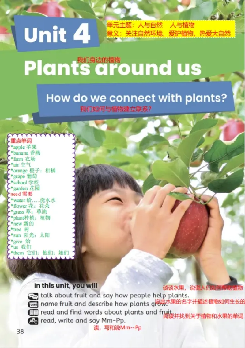 小学英语PEP3年级上册课堂笔记（24秋新教材）A4版_26春四年级上下册人教版_四上英语合集人教版PEP英语四年级上册新教材（教学视频+课件+动画+音频+练习+教案）_17练习资料