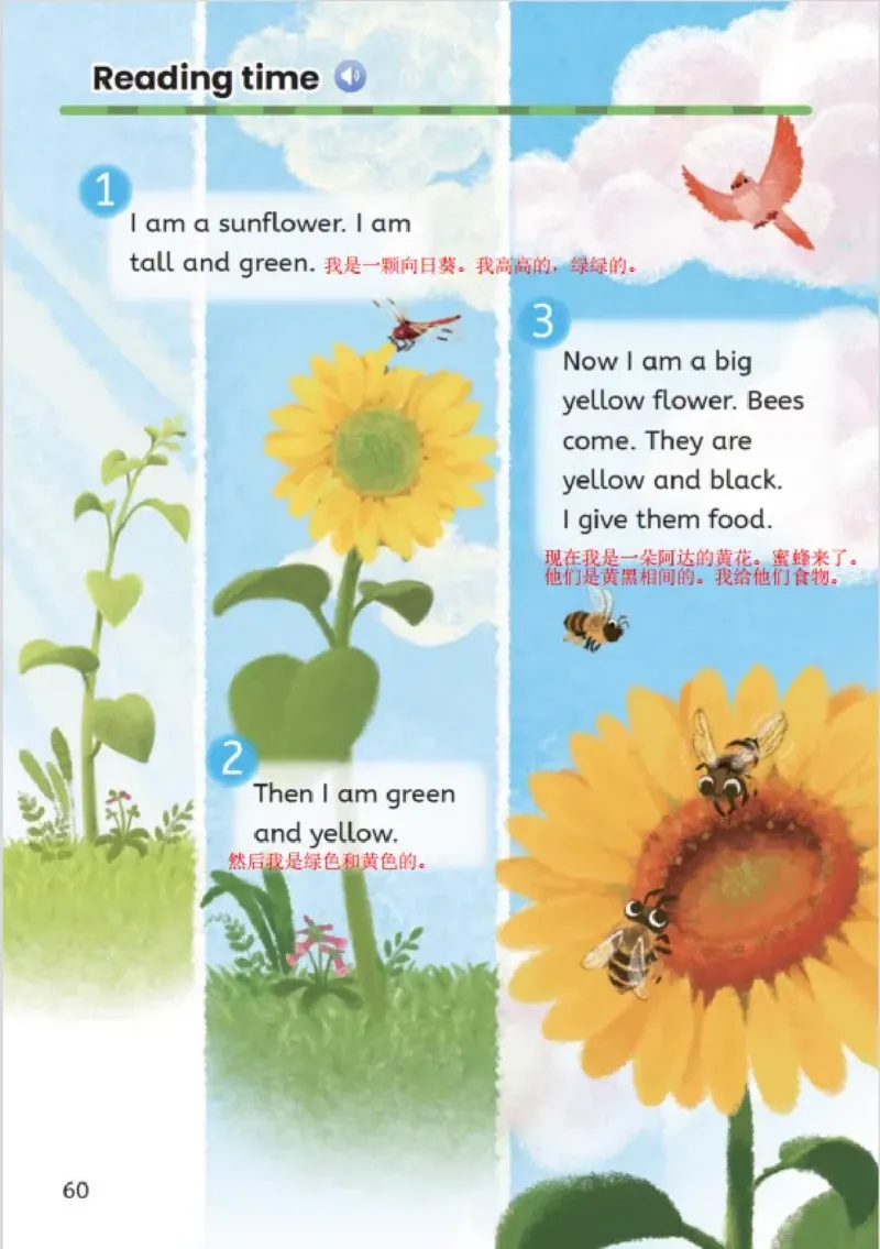 小学英语PEP3年级上册课堂笔记（24秋新教材）A4版_26春四年级上下册人教版_四上英语合集人教版PEP英语四年级上册新教材（教学视频+课件+动画+音频+练习+教案）_17练习资料