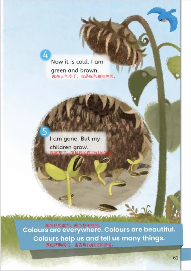 小学英语PEP3年级上册课堂笔记（24秋新教材）A4版_26春四年级上下册人教版_四上英语合集人教版PEP英语四年级上册新教材（教学视频+课件+动画+音频+练习+教案）_17练习资料