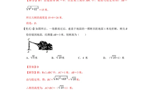 专项06勾股定理之大树折断模型综合应用（2大类型）（解析版）_北师大初中数学_8上-北师大版初中数学_旧版_06专项讲练_2022-2023学年八年级数学上册高分突破必练专题（北师大版）