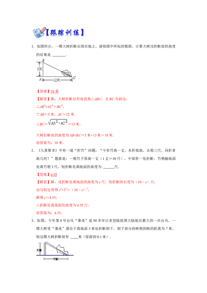 专项06勾股定理之大树折断模型综合应用（2大类型）（解析版）_北师大初中数学_8上-北师大版初中数学_旧版_06专项讲练_2022-2023学年八年级数学上册高分突破必练专题（北师大版）