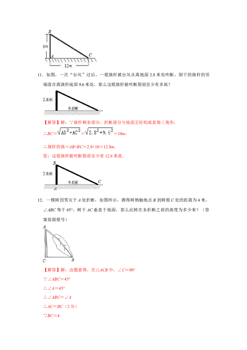 专项06勾股定理之大树折断模型综合应用（2大类型）（解析版）_北师大初中数学_8上-北师大版初中数学_旧版_06专项讲练_2022-2023学年八年级数学上册高分突破必练专题（北师大版）