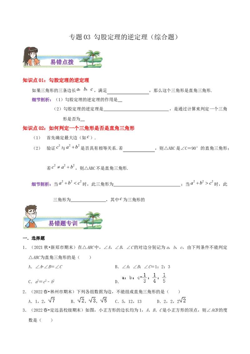 专题03勾股定理的逆定理综合题（原卷版）_北师大初中数学_8上-北师大版初中数学_旧版_06专项讲练_培优方案2022-2023学年八年级数学上册章节重点复习考点讲义（北师大版）