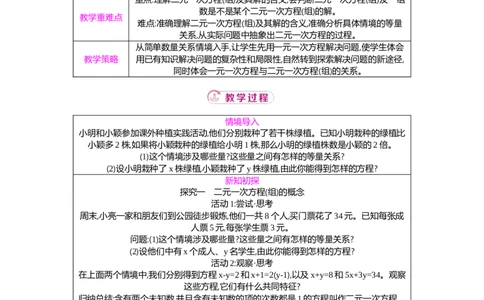 5.1认识二元一次方程组教案（表格式）2025-2026学年数学北师大版（2024）八年级上册_北师大初中数学_8上-北师大版初中数学_初中数学北师大8上-2025秋季新版_第二套推荐25