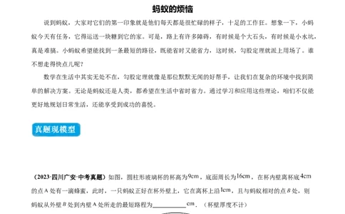 专题01勾股定理中的的最短路径模型（几何模型讲义）数学北师大版（教师版）_北师大初中数学_8上-北师大版初中数学_初中数学北师大8上-2025秋季新版_第二套推荐25_08专项讲练_2026版