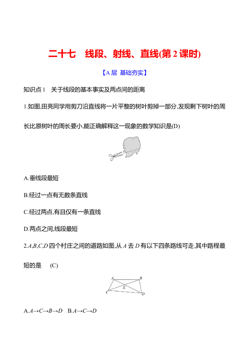 4.1　线段、射线、直线(第2课时)_北师大初中数学_7上-北师大版初中数学_7上-初中数学北师大（2024新版）持续更新_06习题试卷_同步练习