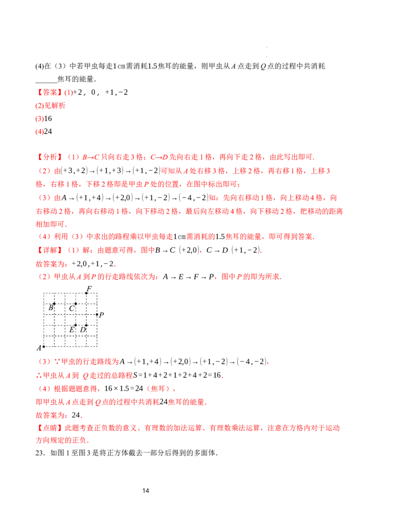 七年级数学第一次月考卷（北师大版2024）（全解全析）A4版_北师大初中数学_7上-北师大版初中数学_7上-初中数学北师大（2024新版）持续更新_06习题试卷_月考试卷