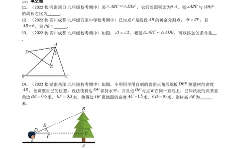 专题06图形的相似（重点，期中测试精选）（原卷版）_北师大初中数学_9上-北师大版初中数学_05习题试卷_5专项练习