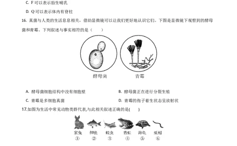 模块五生物的多样性（测试）（原卷版）_02中考总复习（2026版更新中）_08-生物-中考总复习_2024年中考复习资料_一轮复习_❤2024年中考生物一轮复习讲练测（全国通用）_练习